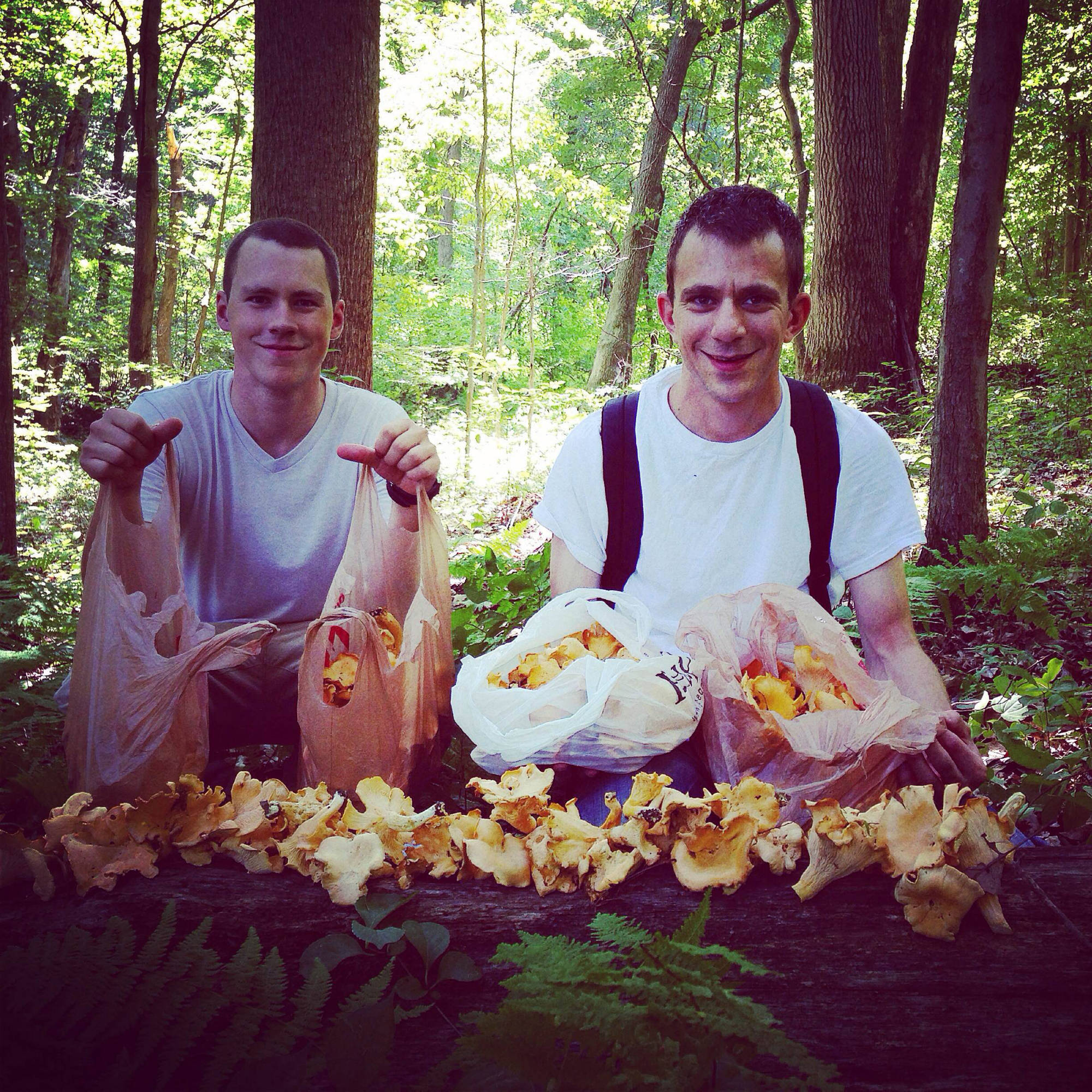 foraging-chefs-sm