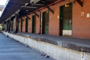 IMG_8855